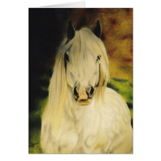 "Shetland Pony" equine card