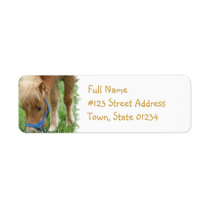 Shetland Pony Mailing Label
