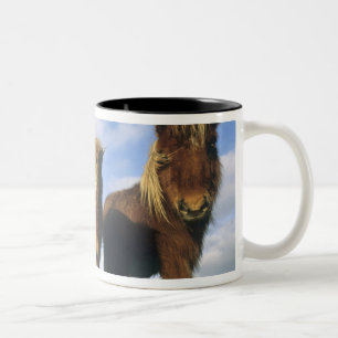 Shetland Pony, mainland Shetland Islands, Two-Tone Coffee Mug