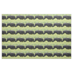 Shetland pony mare and stallion fabric