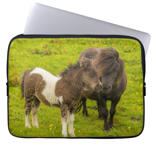 Shetland Pony Mother and Offspring Laptop Sleeve (Front)