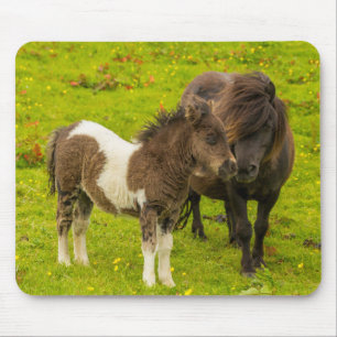 Shetland Pony Mother and Offspring Mouse Mat