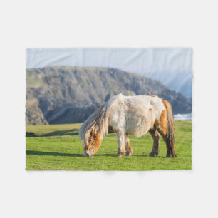 Shetland Pony on Pasture Near High Cliffs Fleece Blanket