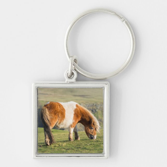 Shetland Pony On Pasture Near High Cliffs Key Ring (Front)