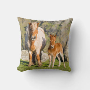 Shetland Pony On Pasture Near High Cliffs, Mare 2 Cushion