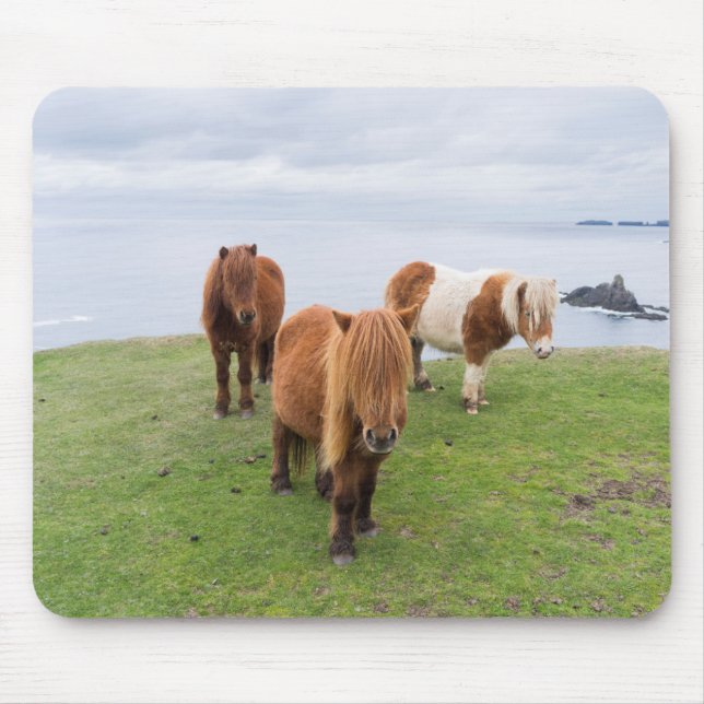 Shetland Pony on Pasture Near High Cliffs Mouse Mat (Front)