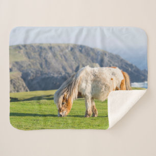Shetland Pony on Pasture Near High Cliffs Sherpa Blanket