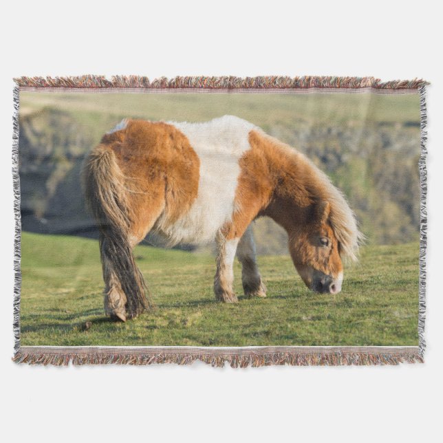 Shetland Pony On Pasture Near High Cliffs Throw Blanket (Front)
