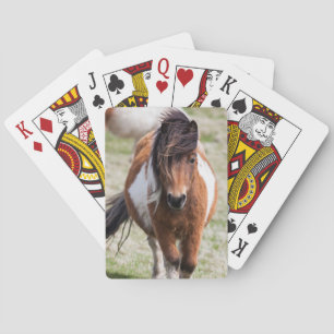 Shetland Pony, Shetland Islands Playing Cards