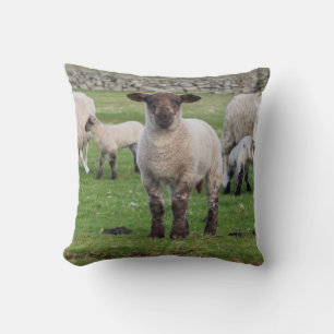 Shetland Sheep Cushion