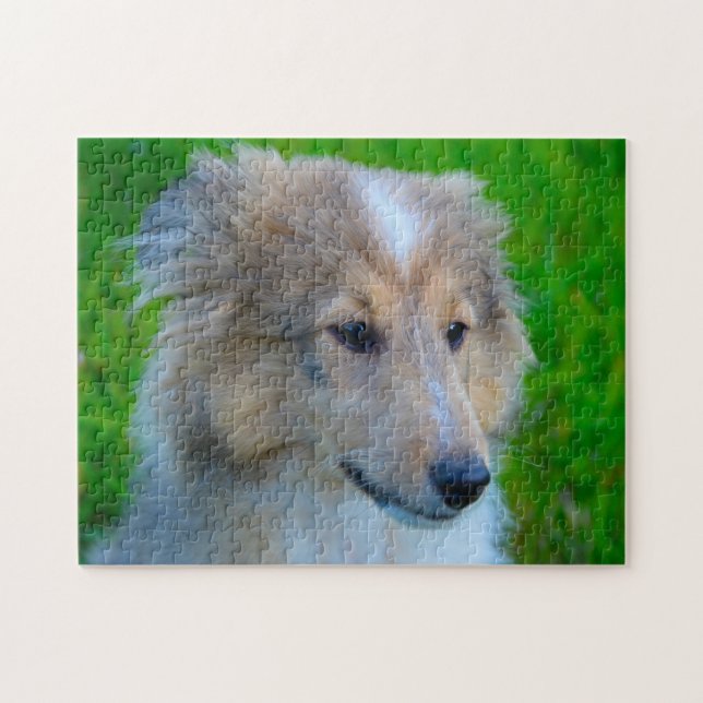 Shetland Sheep Dog Jigsaw. Jigsaw Puzzle (Horizontal)