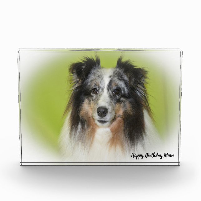 Shetland Sheep Dog Photo Block (Front)