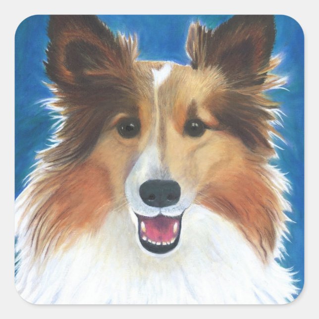 Shetland Sheep Dog Square Sticker (Front)