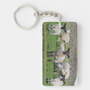 Shetland Sheep Key Ring
