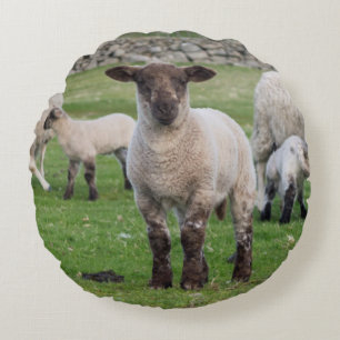 Shetland Sheep Round Cushion