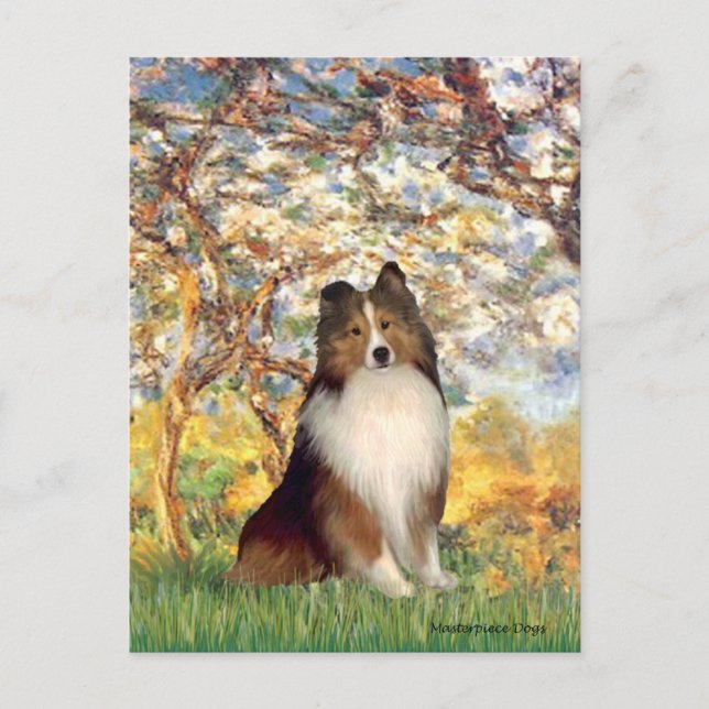 Shetland Sheepdog 1 - Spring Postcard (Front)
