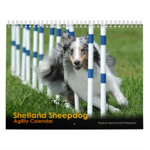 Shetland Sheepdog Agility Calendar