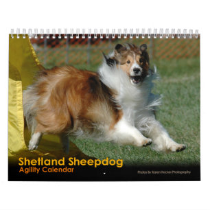Shetland Sheepdog Agility Calendar