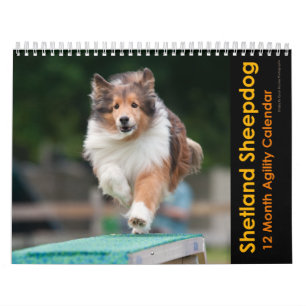 Shetland Sheepdog Agility Calendar