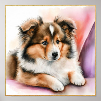 Shetland Sheepdog Artwork for Girls Poster