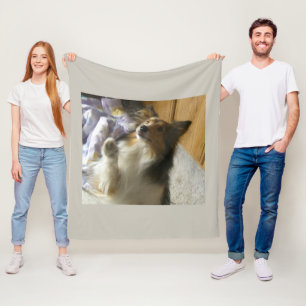 Shetland Sheepdog Begging Fleece Blanket