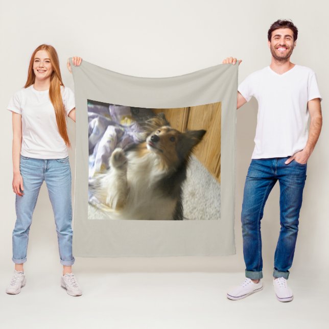Shetland Sheepdog Begging Fleece Blanket (In Situ)