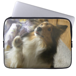 Shetland Sheepdog Begging Laptop Sleeve
