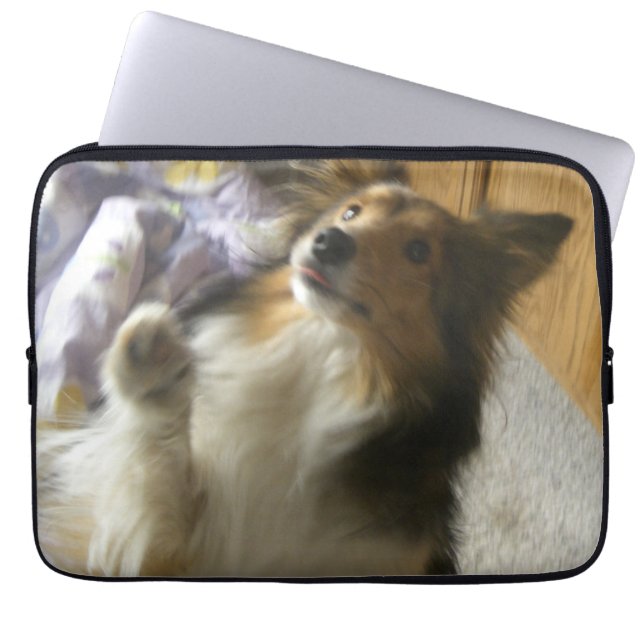 Shetland Sheepdog Begging Laptop Sleeve (Front)