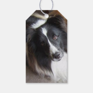 Shetland Sheepdog Black and White Gift Tags