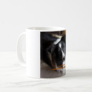shetland sheepdog black and white love w pic coffee mug