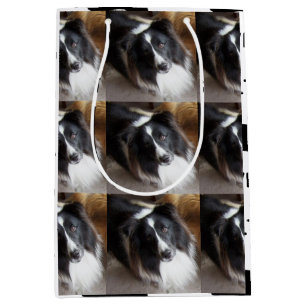 Shetland Sheepdog Black and White Medium Gift Bag