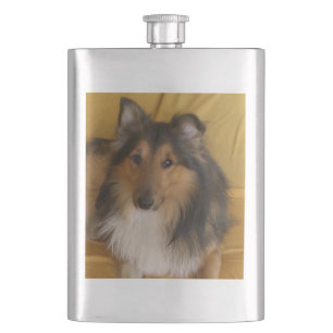 Shetland_Sheepdog black white tan Hip Flask