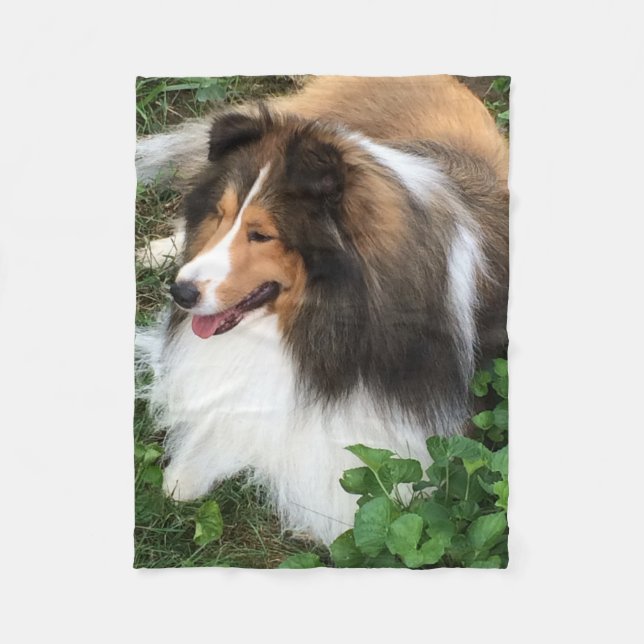 Shetland Sheepdog Blanket (Front)