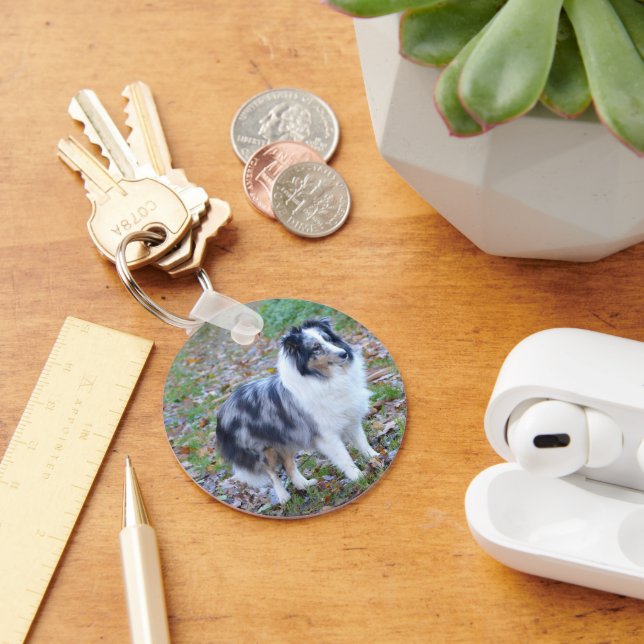Shetland Sheepdog Blue Merle Key Ring (Desk)