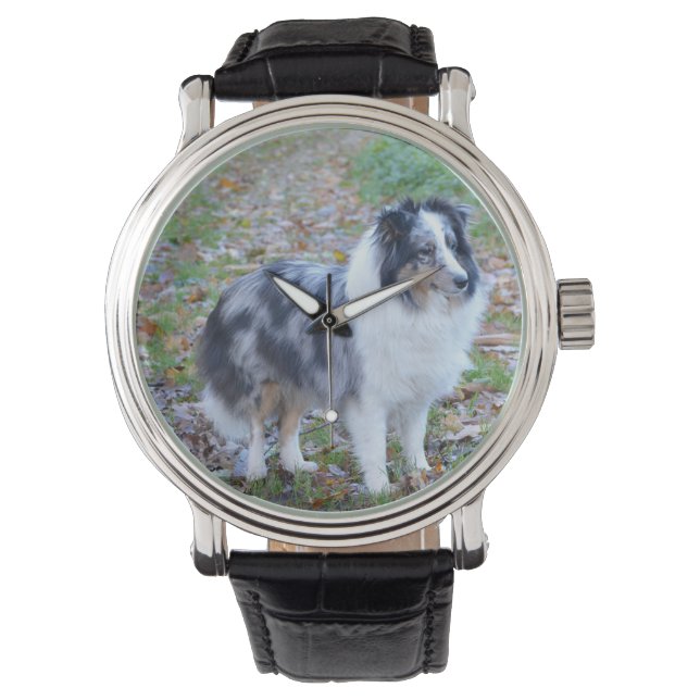 Shetland Sheepdog Blue Merle Watch (Front)