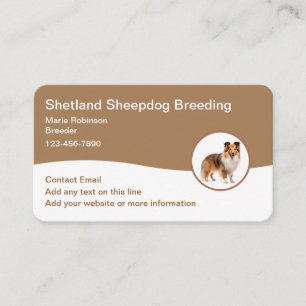 Shetland Sheepdog Breeder Modern Business Cards 