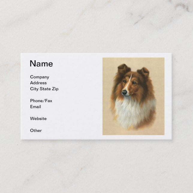 Shetland Sheepdog Business Cards (Front)