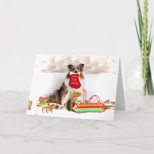 Shetland Sheepdog Christmas Greeting Card (Front)