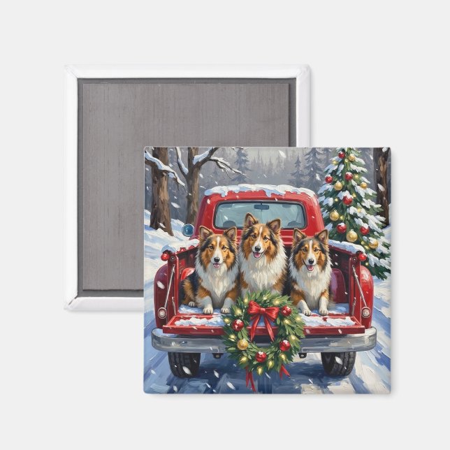 Shetland Sheepdog Christmas Red Truck Holiday Magnet (Front/Back)