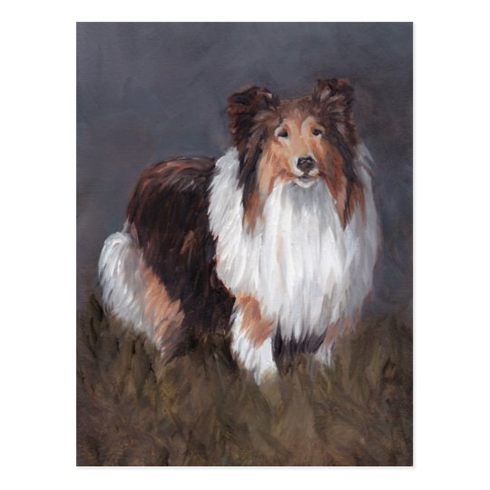 Shetland Sheepdog Dog Art Post Card