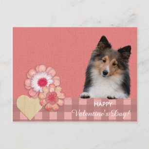 Shetland Sheepdog dog Valentine's Day postcard
