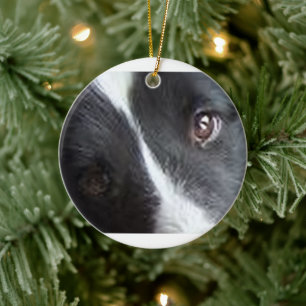 Shetland Sheepdog Eyes Ceramic Tree Decoration
