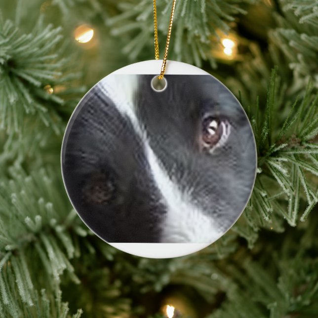 Shetland Sheepdog Eyes Ceramic Tree Decoration (Tree)