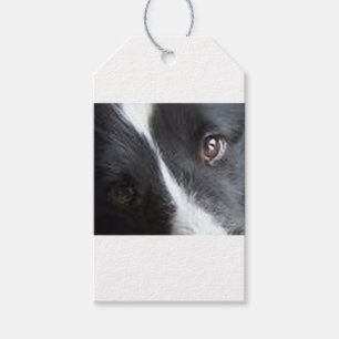 Shetland Sheepdog Eyes Gift Tags