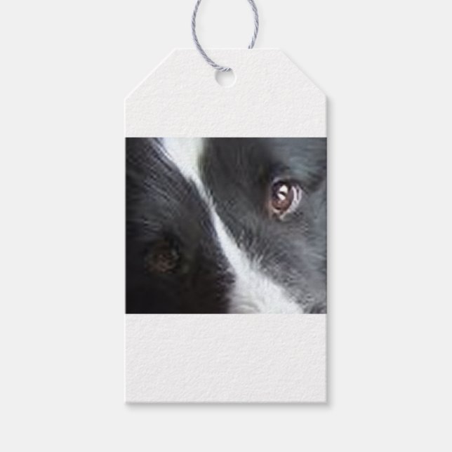 Shetland Sheepdog Eyes Gift Tags (Front)