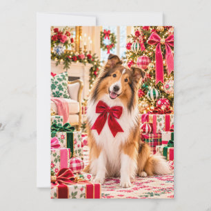 Shetland Sheepdog Flat Christmas Card