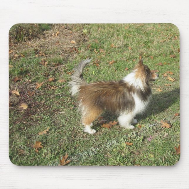 Shetland Sheepdog Full Second Mouse Mat (Front)