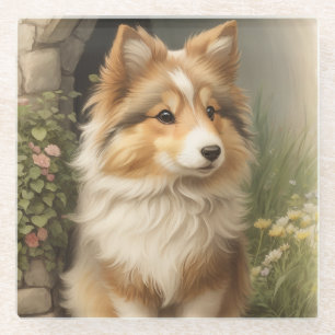 Shetland Sheepdog Glass Coaster