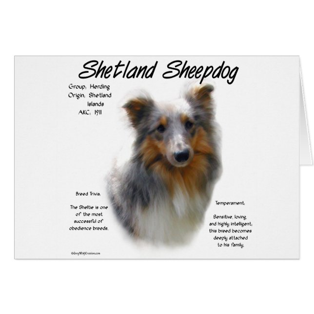Shetland Sheepdog History Design (Front Horizontal)