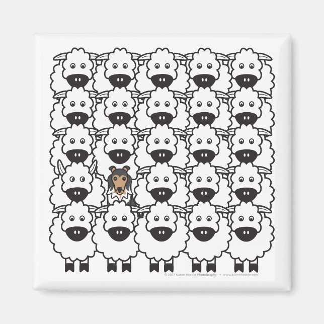 Shetland Sheepdog in the Sheep Magnet (Front)